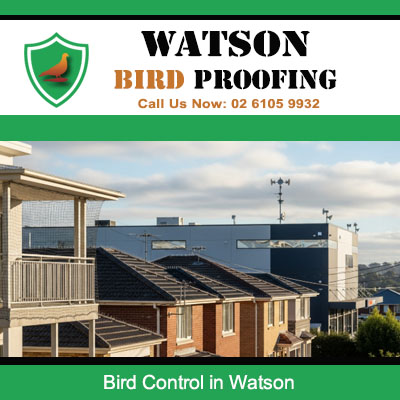 Bird control solutions installed on Watson residential rooftops preventing pigeon nesting and protecting solar panels from droppings