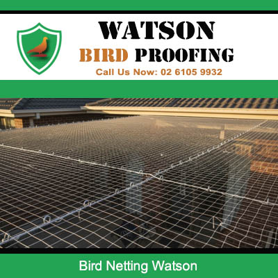 Bird netting installed over Watson outdoor patio area protecting outdoor space from pest bird contamination