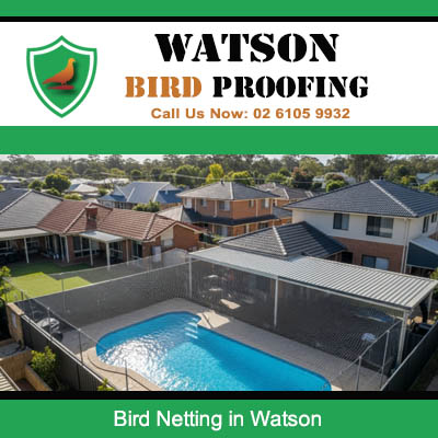 Bird netting installed over Watson residential pool area preventing droppings and protecting swimming space from pest bird contamination