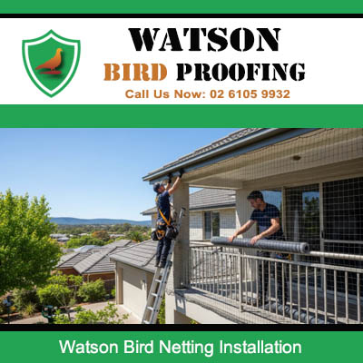 Professional bird netting installation service for house balconies and patios preventing pigeon problems in Watson area