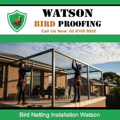 Bird netting installation on pergola protecting customers from nuisance birds and droppings in Watson