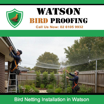 Bird netting installation for residential properties preventing pest birds from nesting in roof eaves and gutters in Watson