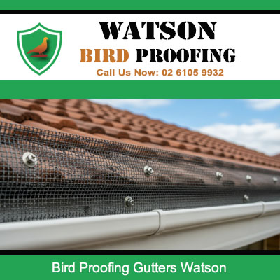 Bird proofing gutters with protective mesh preventing pigeons from nesting and blocking downpipes in Watson homes