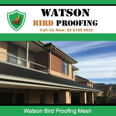 Bird proofing mesh solutions for house balconies stopping pest bird droppings and roosting in Watson