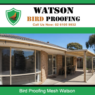 Bird proofing mesh covering residential patio and alfresco space stopping pest birds from roosting in Watson