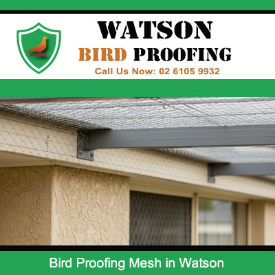 Bird proofing mesh covering roof eaves and entry points eliminating nuisance birds and droppings in Watson area