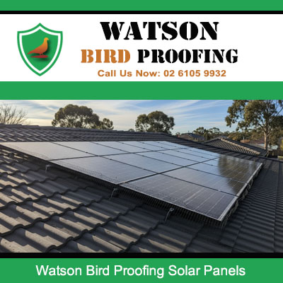 Professional solar panel bird exclusion fitted to Watson home roof stopping pest birds from damaging wiring and causing contamination