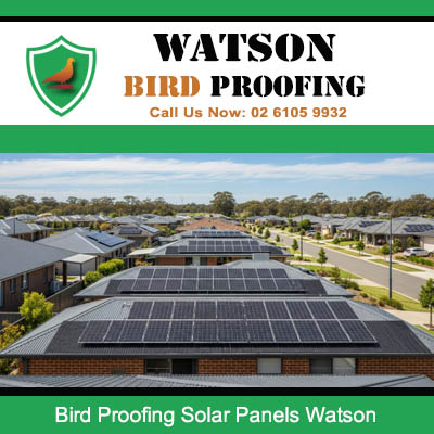 Bird proofing mesh protecting Watson suburb solar panel systems from pigeon nesting and damage across residential rooftops