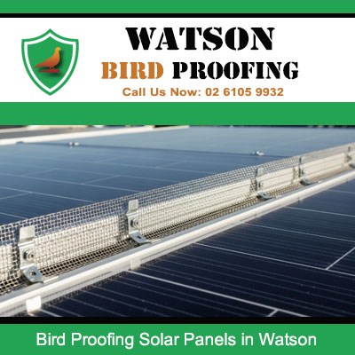 Professional solar panel bird exclusion barriers fitted to Watson home array stopping pest birds