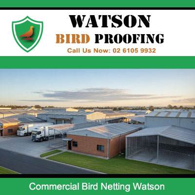 Professional bird netting mesh covering Watson commercial facility stopping pigeons from nesting and maintaining clean safe work environment