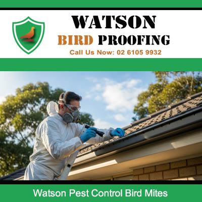 Technician installing bird mite treatment and pest control barriers on Watson home roof to eliminate parasites and infestations