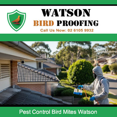 Pest control technician treating Watson home exterior for bird mites using professional spray equipment